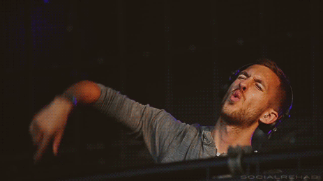 gifs-corona-capital-2015.gif