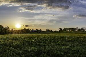 Kentucky horse farm landscape