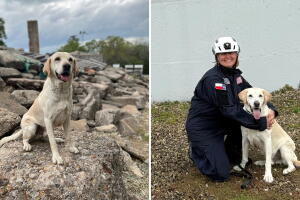 Canyon Lulu Peck Camp Mystic ASPCA premios Humane Awards inundaciones Texas 2025 perro rescatista Eloise Peck