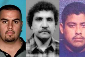 Mi publicación (7).png