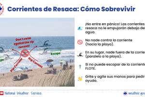 como-sobrevivir-corriente-resaca