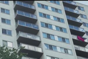 snapshot (89) (1).jpg