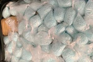 Primera muerte por carfentanilo en California: la droga 100 veces más potente que el fentanilo