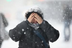 Nieve