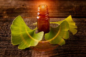 Gonkgo leaves and extract