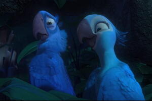Película Rio