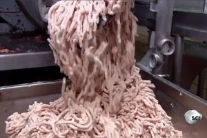 fabricacao-salsicha.png