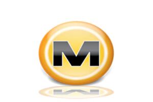 Megaupload, Kim Dotcom