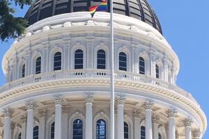 DG VERT LGBTQ FLAG.jpeg