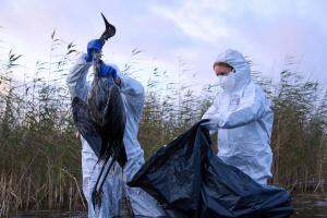 AP25301421345007 (1).jpg