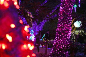 La magia de las luces de navidad en el zoológico de Houston