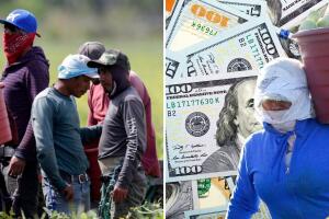 Estos son los puntos más importantes que debes conocer con relación a tus vacaciones si trabajas en California.