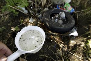 West Nile Virus Gains Foothold in Southern California