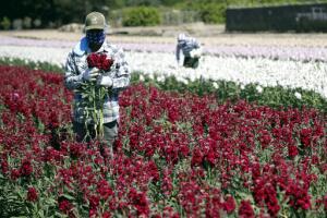 Virus Outbreak California