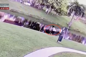 GALERIA NINO/LAGODOS.png