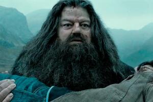 hagrid_en_harry_potter_3.jpg