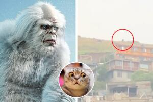 yeti_mexico_video.jpg