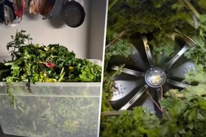 Mujer lava vegatales en lavadora de ropa y se vuelve viral