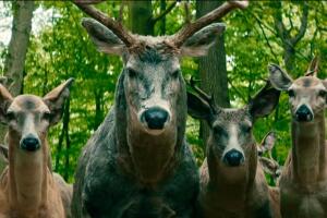 ¿Qué significan los ciervos en la película de Netflix 'Dejar el mundo atrás'?