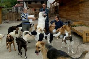 Andrea Cisternino, el rescatista de animales que se negó a salir de Ucrania para cuidar su refugio KJ2