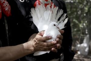 Week That Was In Latin America Photo Gallery