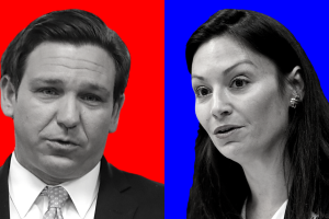 desantis fried.png