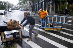 Tropical Weather New York