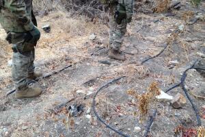 Plantíos de marihuana en Los Ángeles