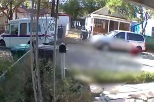 San Antonio perro atropellado camión servicio postal incidente mascotas vecinos callejón