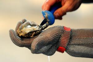 La Bahía de Apalachicola reabrirá en 2026 tras cinco años de cierre por la drástica caída de ostras.