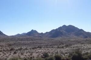 Desierto de Arizona, uno de los más importantes de Norteamérica, está amenazado