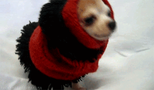atolado-de-roupa.gif