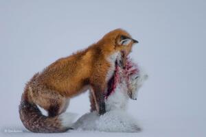 WPY_Winners_Planeta