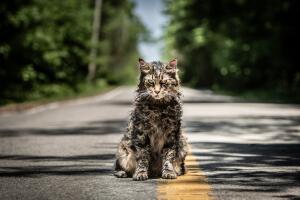 pet-sematary-1.jpg