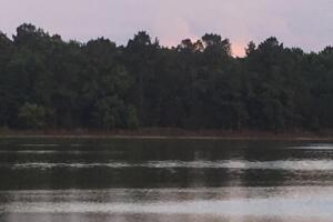 ATARDECER-HOUSTON-18.jpg