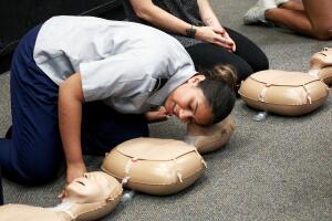 educacion becas stem