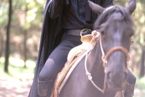 MAURICIO ZORRO.jpg