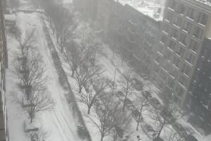 NY amanece totalmente blanca por tormenta de nieve