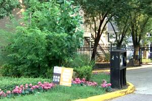 Renta atrasada 7.jpg