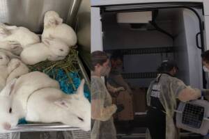 New Project (21).jpg