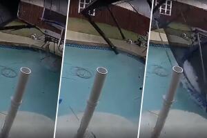 Priscilla Chila Gómez grabó lo ocurrido en su jardín en Hutto.