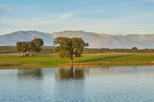 landscapes with oaks, lake and mountains