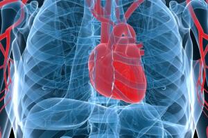 cardiologia_google-glass.jpg