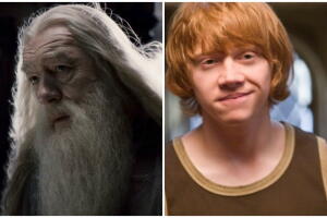 Dumbledore y Ron