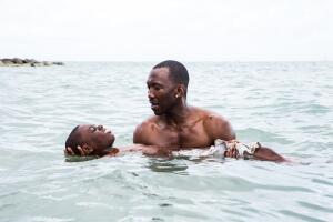 moonlight3.jpg