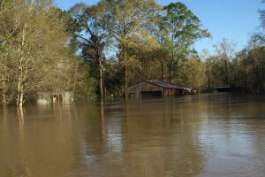 Deweyville, Texas se encuentra bajo el agua