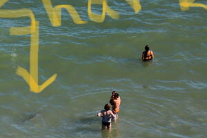 TiburonesMirttleBeach/3.jpg