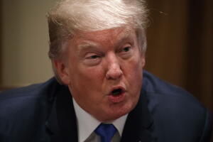 Donald Tump 34