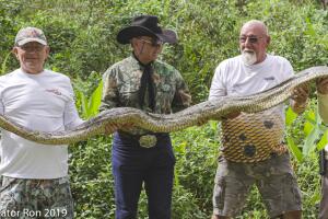 Everglades Python/Python 2-4.jpg