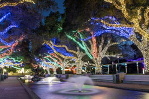 ZooHouston2020.jpg